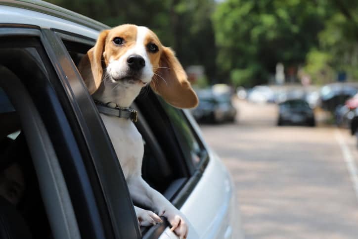 20 Weird Driving Laws You Probably Never Knew About